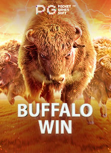 พนันบอล คืออะไร เปิดประสบการณ์ทดลองเล่น